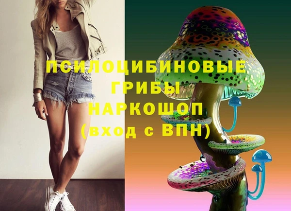 соль ск Балабаново