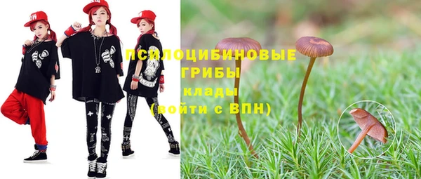 соль ск Балабаново